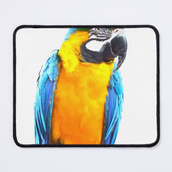 Item preview, Norwegian Blue Parrot  designed and sold by Stephen Frost.