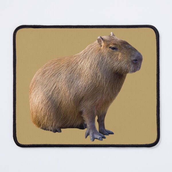 Item preview, capybara designed and sold by tttatia.