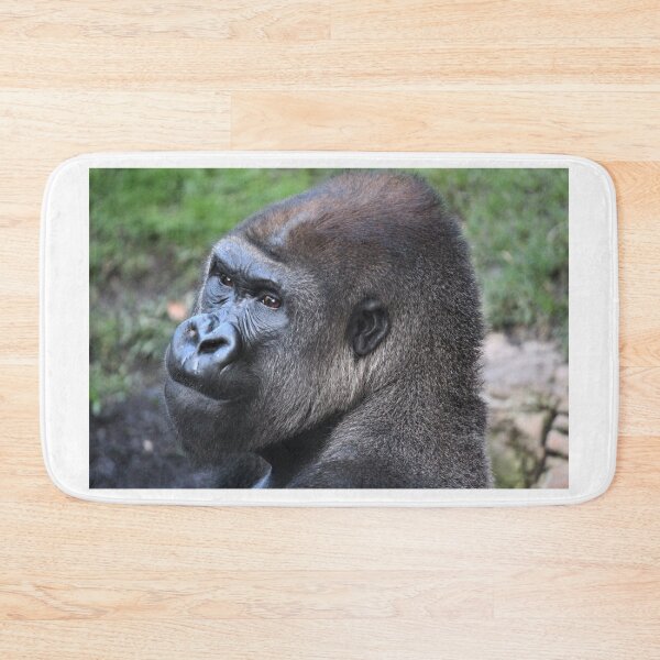 Item preview, Gorilla Stare designed and sold by salouphotos.