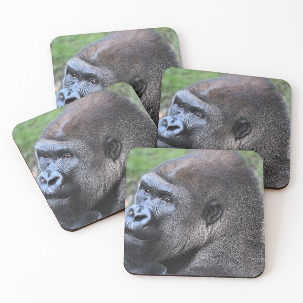Item preview, Gorilla Stare designed and sold by salouphotos.