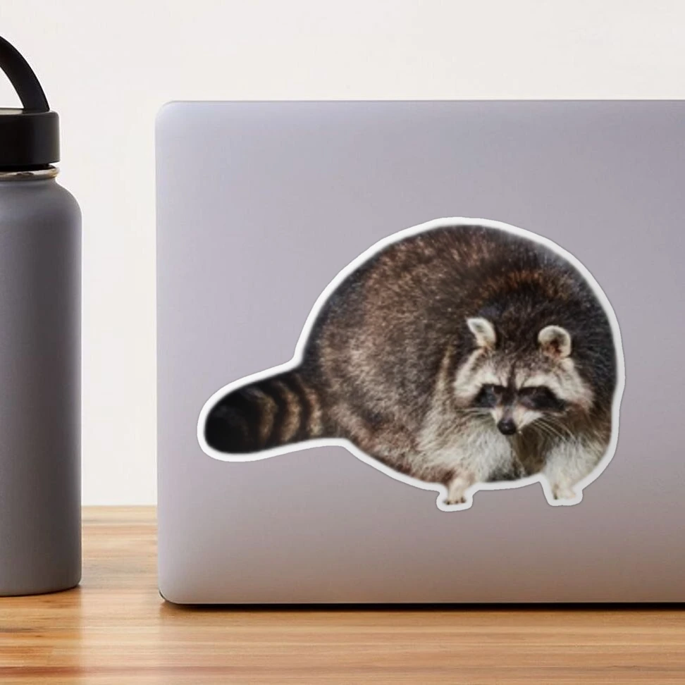 Cute Round Raccoon Sticker Funny Sticker Gifts Under 10 Water Resistant for  Water Bottle Laptop Desk Stationary Raccoon Lover 