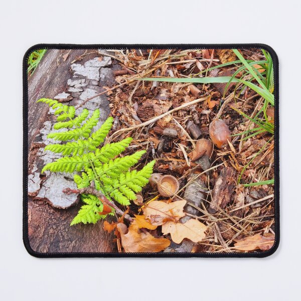 Item preview, "Forest Views" designed and sold by Sascha Richartz.