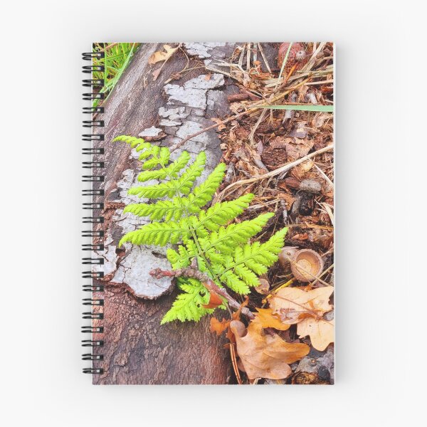 Item preview, "Forest Views" designed and sold by Sascha Richartz.