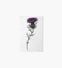 Thistle Art Board Print