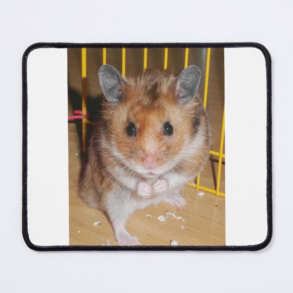 Item preview, Hamster Barney designed and sold by SkatingGirl.
