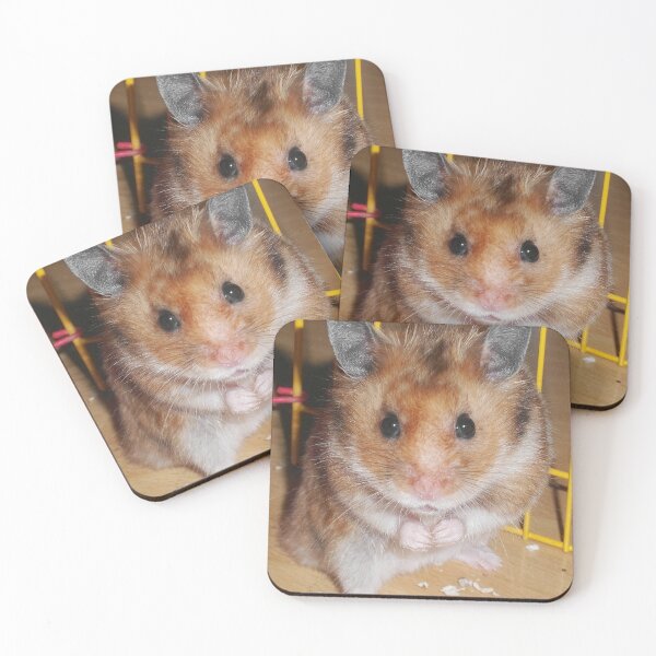 Item preview, Hamster Barney designed and sold by SkatingGirl.