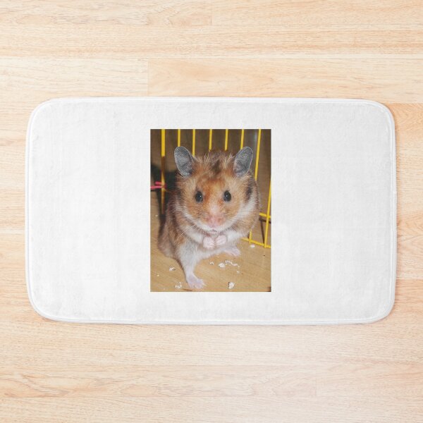 Aperçu de l'œuvre Hamster Barney créée et vendue par SkatingGirl.