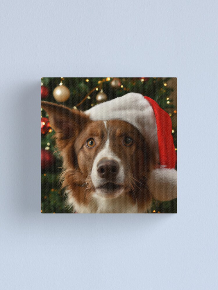 Border Collie Christmas