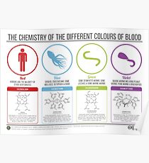 Chemistry of Blood Colours Poster