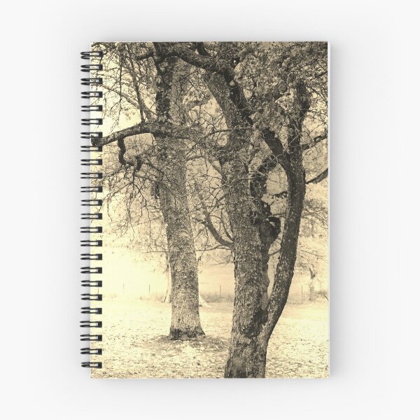 Item preview, Autumn Trees No. 5 designed and sold by Barry W  King.