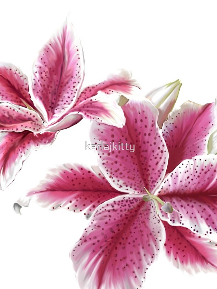 Stargazer Lilly by karlajkitty