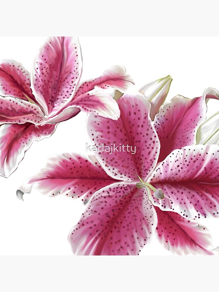 Stargazer Lilly by karlajkitty