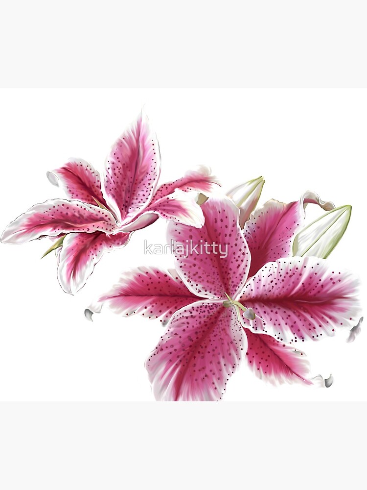 Stargazer Lilly by karlajkitty