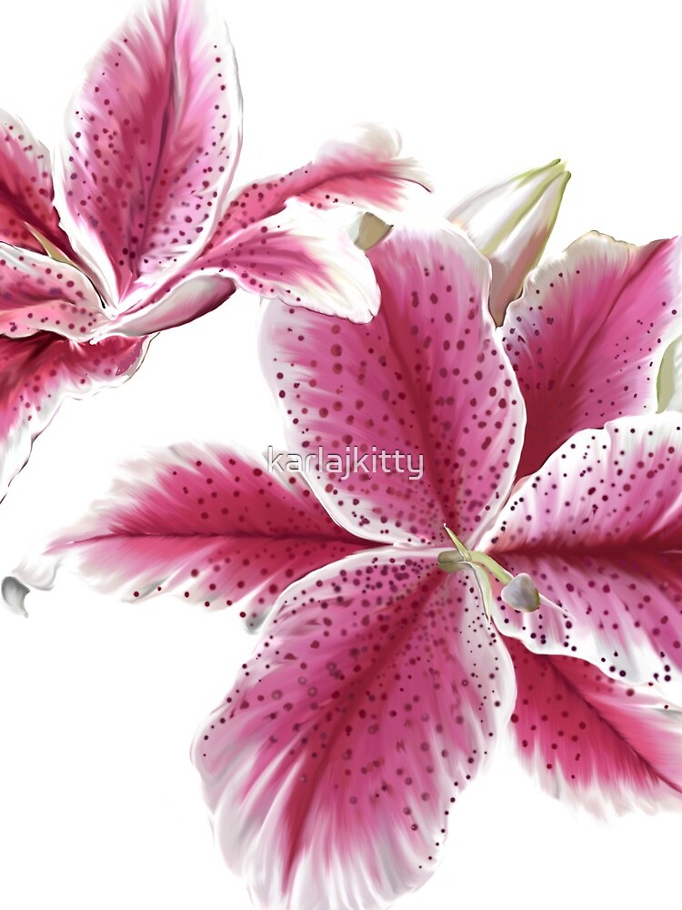 Stargazer Lilly by karlajkitty