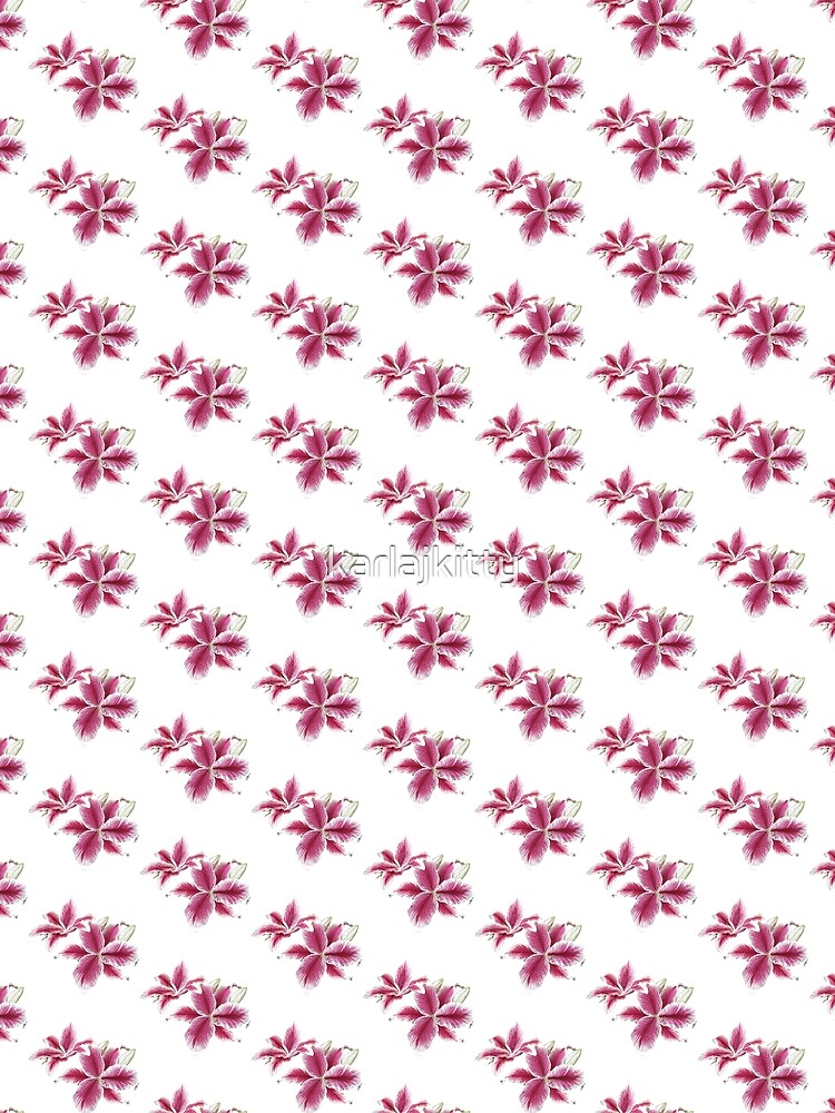 Stargazer Lilly by karlajkitty