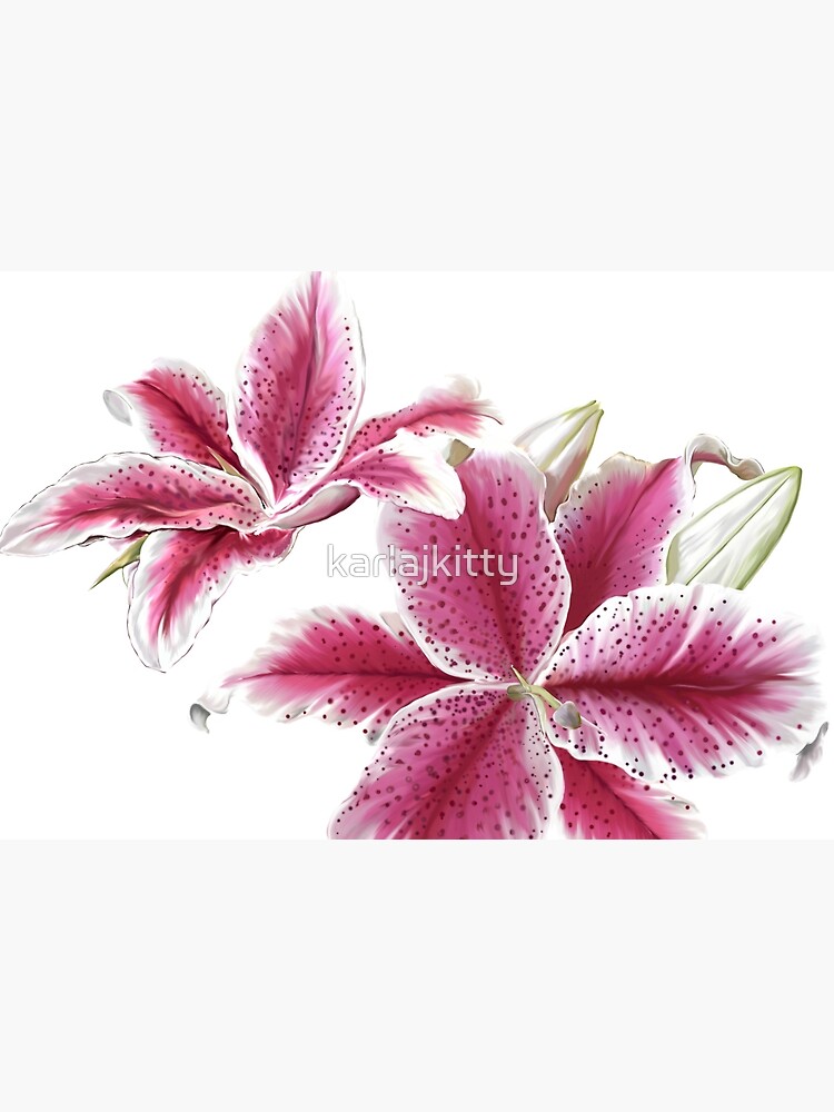 Stargazer Lilly by karlajkitty