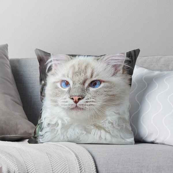 Item preview, Beautiful lynx ragdoll kitten designed and sold by Fluffycat2020.