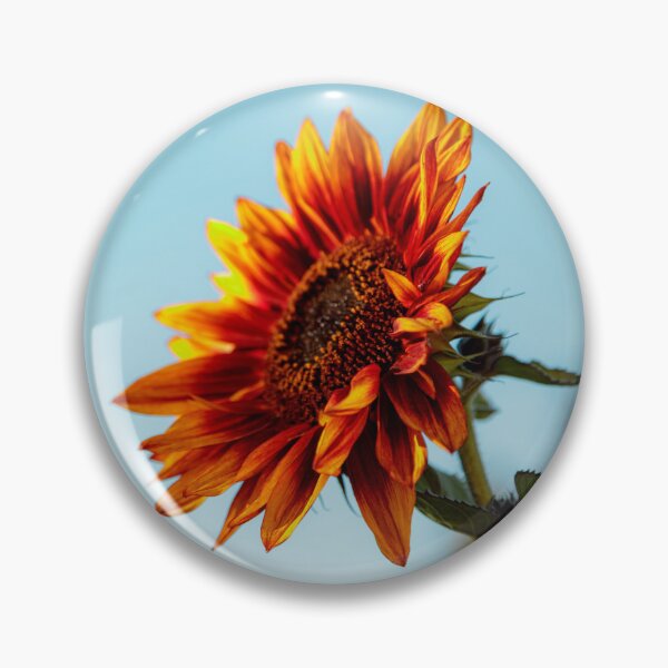 Aperçu de l'œuvre Tournesol cramoisi et doré créée et vendue par MelBolin.