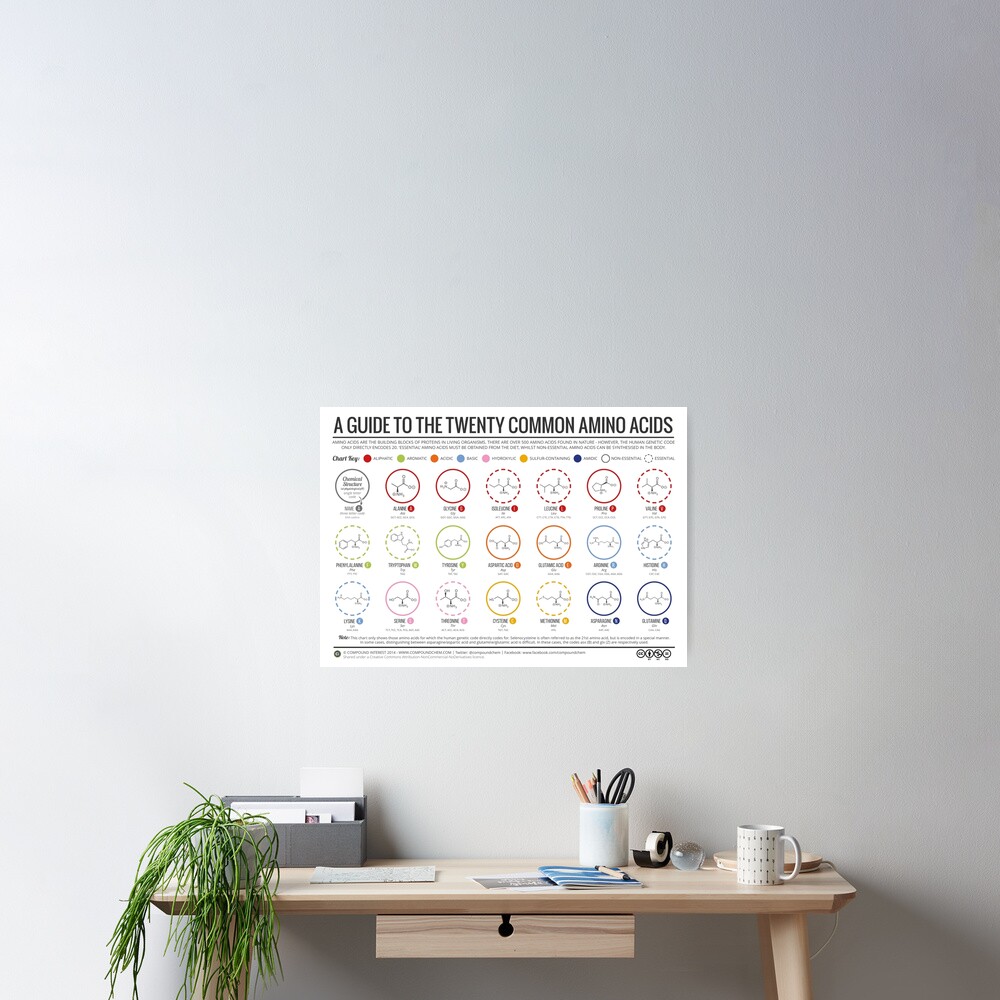 20 Amino Acids Poster
