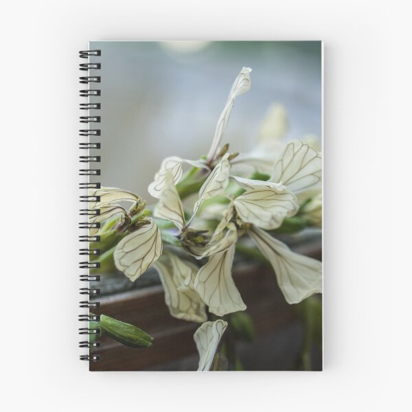 Item preview, Rucola, Arugula, rocket blossoms designed and sold by Gabriele Maurus.