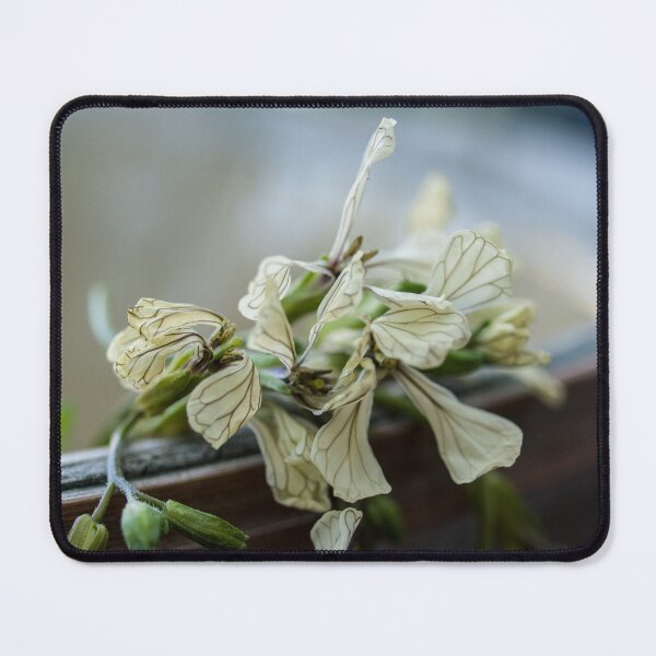 Item preview, Rucola, Arugula, rocket blossoms designed and sold by Gabriele Maurus.