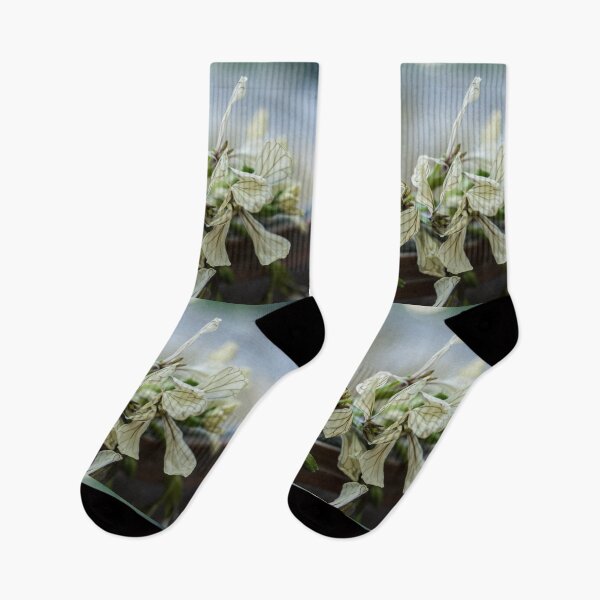 Item preview, Rucola, Arugula, rocket blossoms designed and sold by Gabriele Maurus.