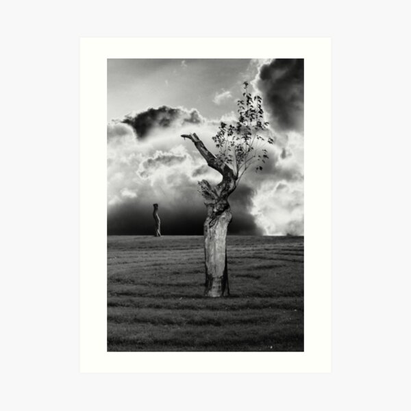 Dream Sleep Art Print