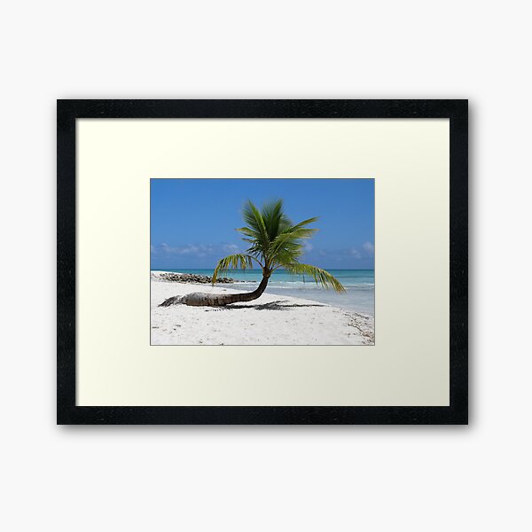 Palme - Insel Saona in der Karibik Gerahmter Kunstdruck