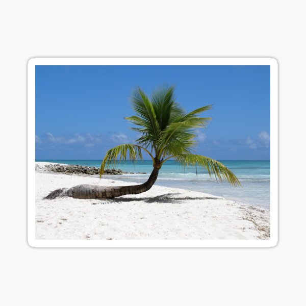 Palme - Insel Saona in der Karibik Sticker