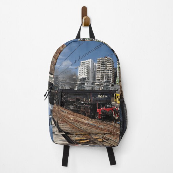 Item preview, Steam Heritage Expo - 6029 Departing 20221001 designed and sold by muz2142.