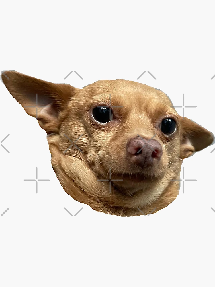 Corgi Funny Dog Stickers For Whatsapp Angry Dog Sticker