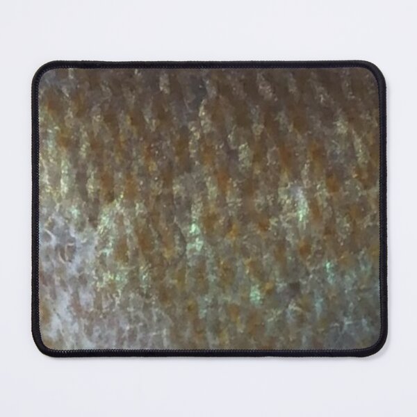 Item preview, Bergall Skin (Natural) Fish Scales Pattern designed and sold by CJRPics.