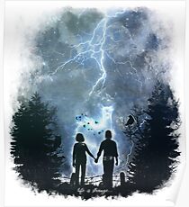 The storm of life Poster