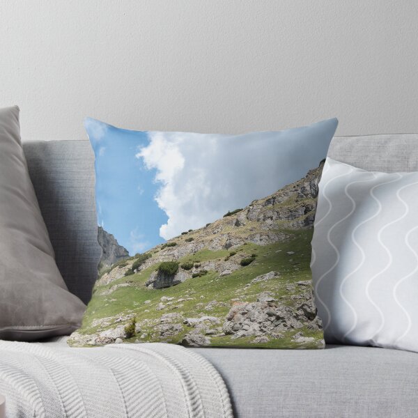 Item preview, View from Bucegi mountains, Romania, Bucegi National Park designed and sold by photonxt.