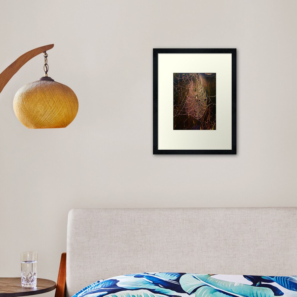 Web of Dreams Framed Art Print