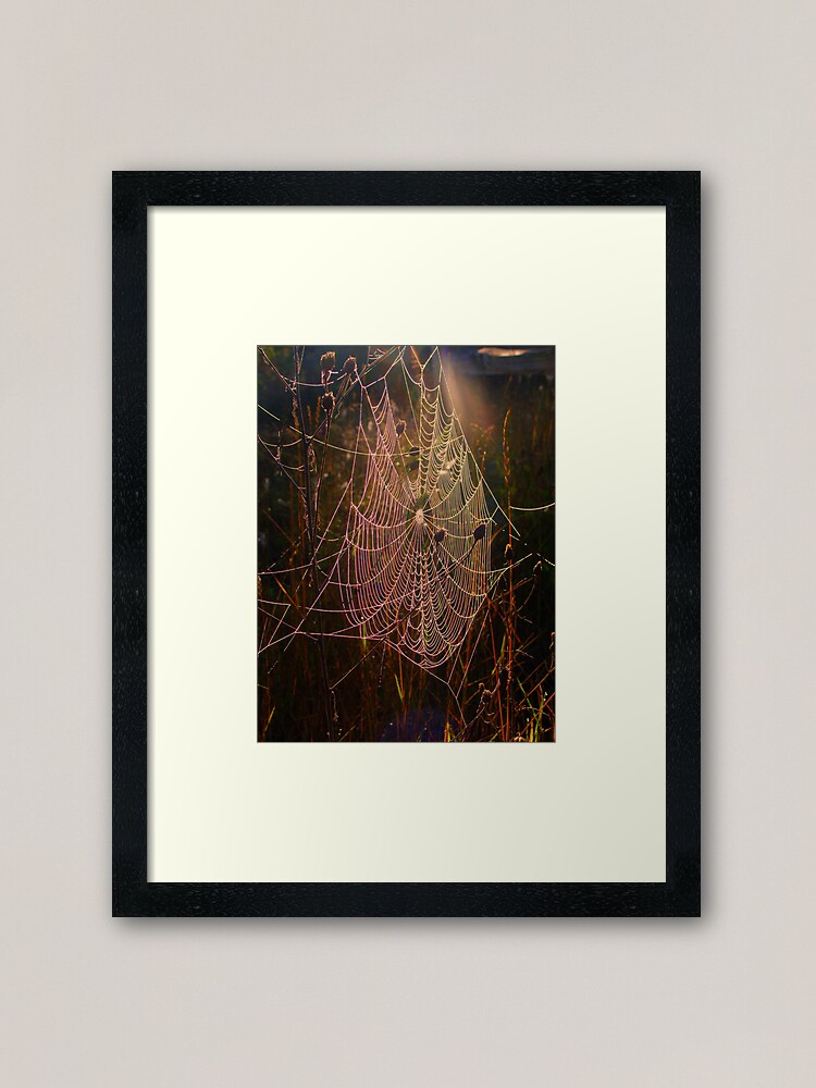 Alternate view of Web of Dreams Framed Art Print