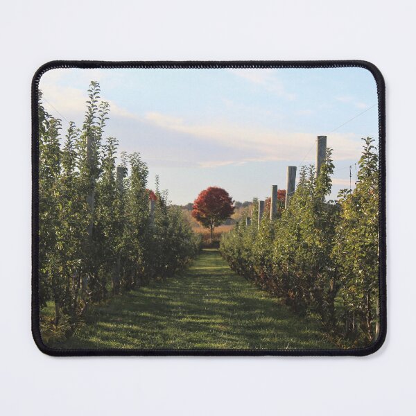 Item preview, Applepicking Day designed and sold by Haven Black.