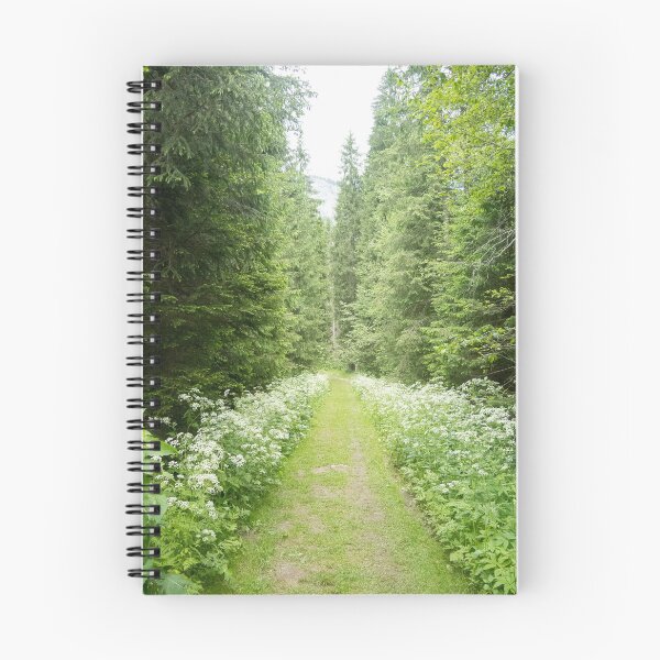Item preview, View from Bucegi mountains, Romania, Bucegi National Park designed and sold by photonxt.