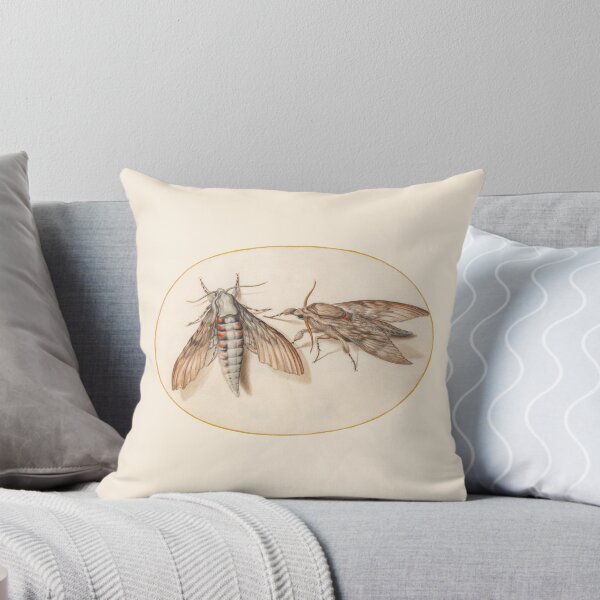 Item preview, Two hawk moths, insect miniature by Joris Hoefnagel. designed and sold by Luggnagg.