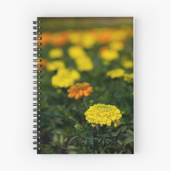 Item preview, sea of colour designed and sold by codaimages.