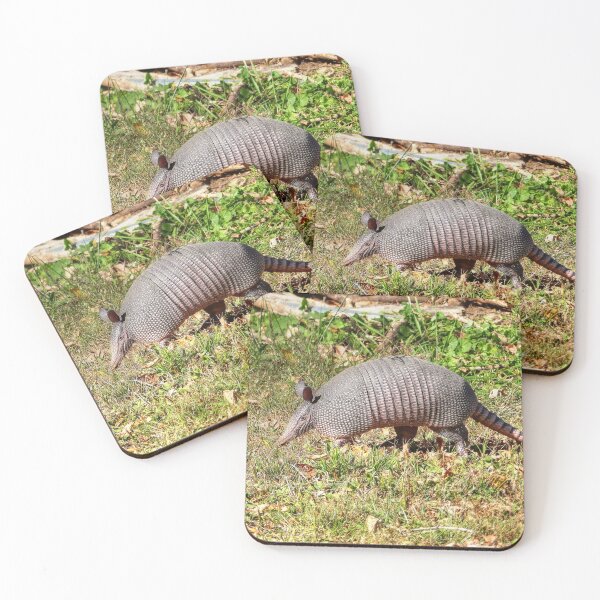 Item preview, Armadillo designed and sold by Frankie Cat Photography.