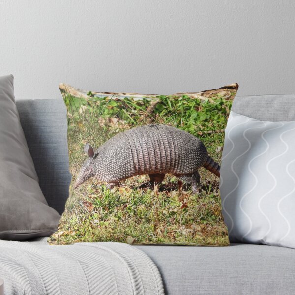 Item preview, Armadillo designed and sold by Frankie Cat Photography.