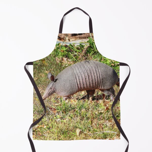 Item preview, Armadillo designed and sold by Frankie Cat Photography.