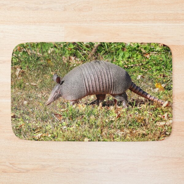 Item preview, Armadillo designed and sold by Frankie Cat Photography.