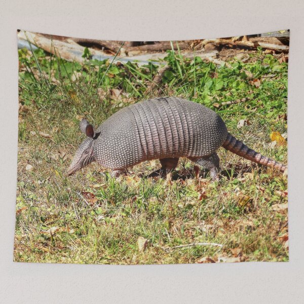 Item preview, Armadillo designed and sold by Frankie Cat Photography.