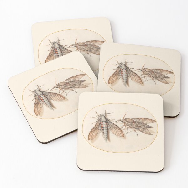 Item preview, Two hawk moths, insect miniature by Joris Hoefnagel. designed and sold by Luggnagg.
