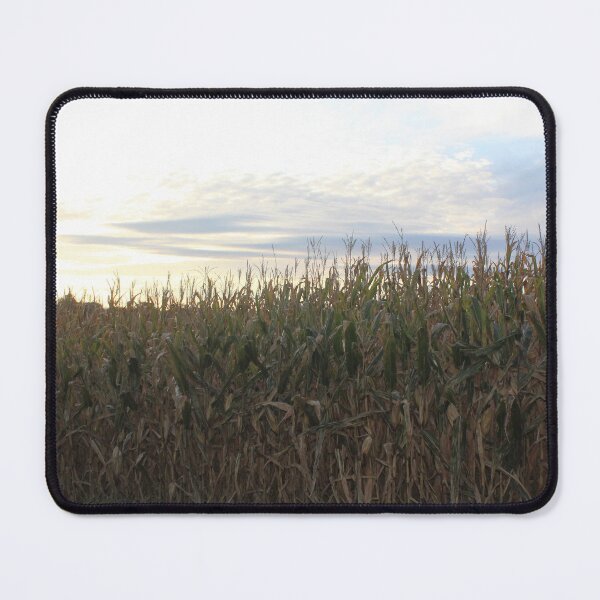 Item preview, Corn (Maize) designed and sold by Haven Black.