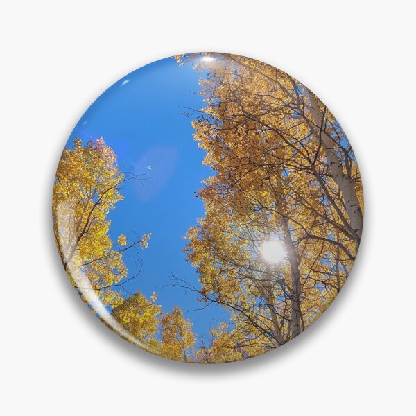 Item preview, Aspen trees in autumn designed and sold by EmbersDaylight.