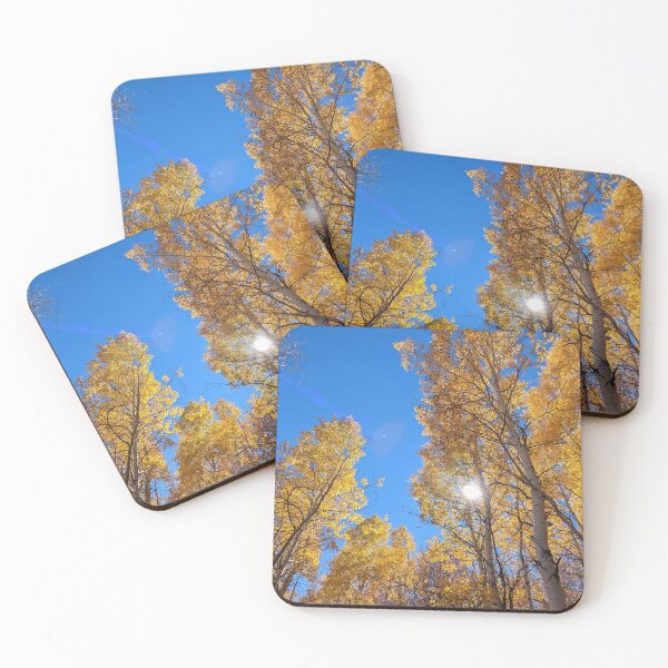 Item preview, Aspen trees in autumn designed and sold by EmbersDaylight.