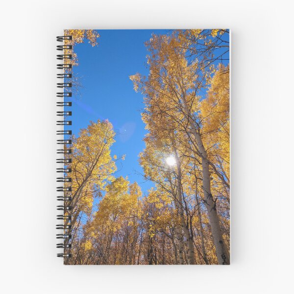 Item preview, Aspen trees in autumn designed and sold by EmbersDaylight.